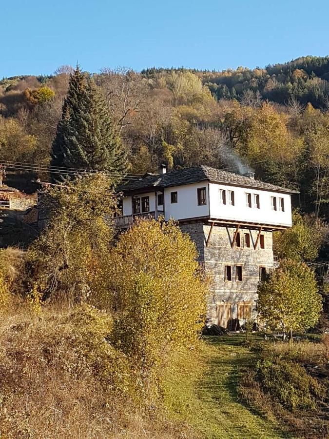 Загородные дома Guest House Vesko & Suzi Ковачевица-7